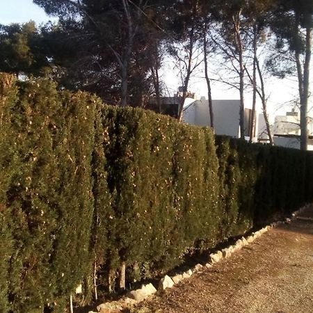 Pinomar Apartment Teulada Exterior foto